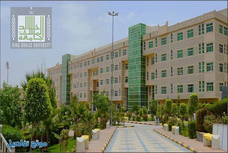 تخصصات جامعة الملك خالد للبنات