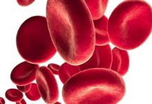 هل خروج الدم يبطل الصيام، من الأسئلة الشائعة عن خروج الدم من الإنسان هل يبطل الصيام، وسيتم الإجابة عليها في هذا المقال،