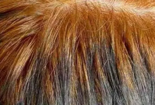 كيف أطفي لون الجذور الشعر البرتقالي بالزيت