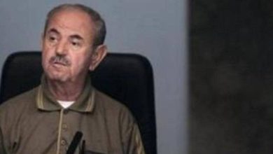 سبب وفاة وزير الثقافة الأسبق حامد يوسف حمادي