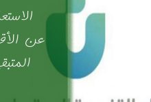 استعلامات بنك التنمية الاجتماعي السعودية