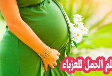 تفسير حلم الحمل للعزباء في المنام لابن سرين والنابلسي