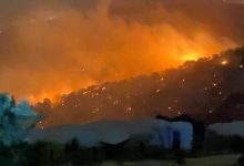 سبب حريق غابات اليرموك في الأردن