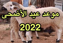 متى أول أيام العيد الأضحى 2022