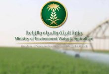 منصة زراعي وزارة البيئة والمياه والزراعة تسجيل دخول