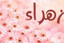 ما معنى اسم زهراء في اللغة العربية