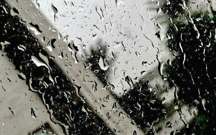 عبارات عن المطر والحب تويتر بالصور